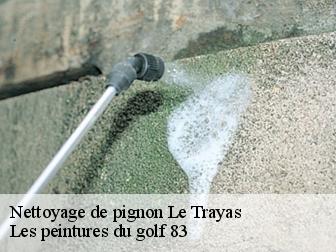 Nettoyage de pignon le-trayas-83700 Les peintures du golf 83
