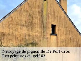 Nettoyage de pignon