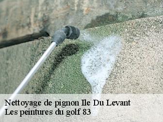 Nettoyage de pignon ile-du-levant-83400 Les peintures du golf 83