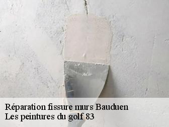 Réparation fissure murs bauduen-83630 Les peintures du golf 83