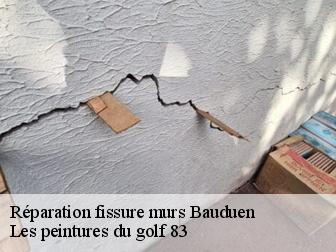 Réparation fissure murs 83630