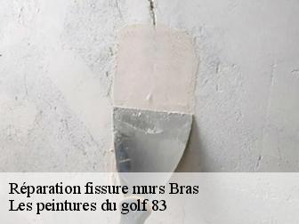 Réparation fissure murs  bras-83149 Les peintures du golf 83