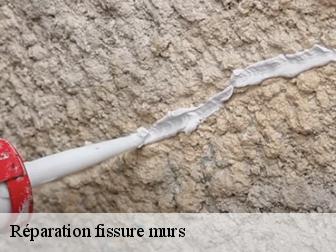 Réparation fissure murs 83840