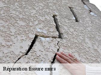 Réparation fissure murs