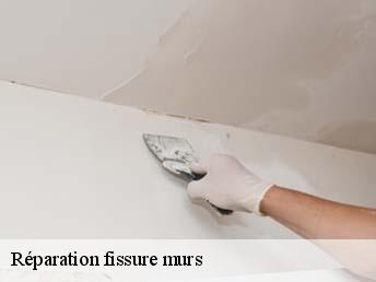 Réparation fissure murs  83660