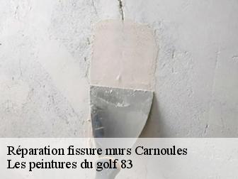 Réparation fissure murs  carnoules-83660 Les peintures du golf 83