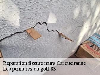 Réparation fissure murs 83320