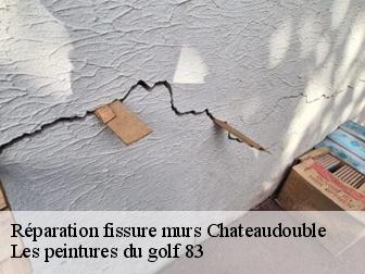 Réparation fissure murs 83300