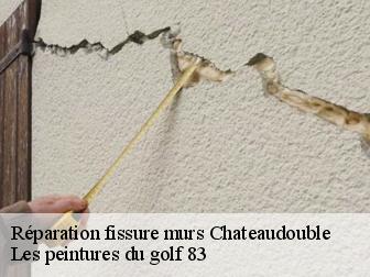 Réparation fissure murs