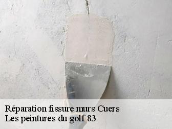 Réparation fissure murs cuers-83390 Les peintures du golf 83