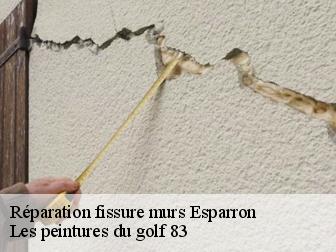Réparation fissure murs