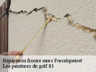 Réparation fissure murs