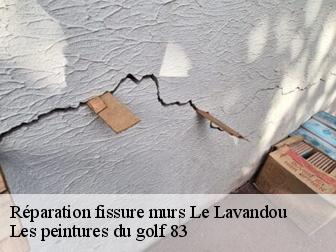 Réparation fissure murs 83980