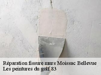 Réparation fissure murs moissac-bellevue-83630 Les peintures du golf 83