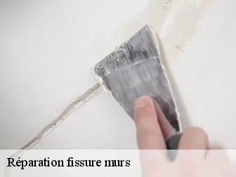 Réparation fissure murs