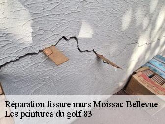 Réparation fissure murs 83630