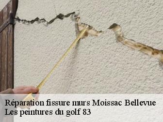Réparation fissure murs