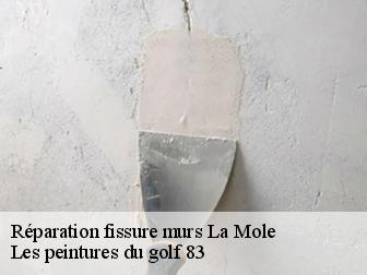 Réparation fissure murs la-mole-83310 Les peintures du golf 83