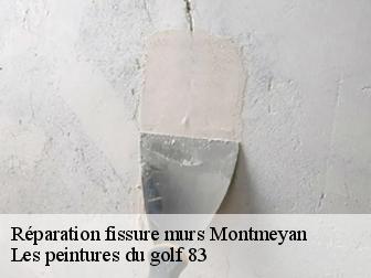 Réparation fissure murs montmeyan-83670 Les peintures du golf 83