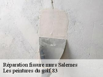Réparation fissure murs salernes-83690 Les peintures du golf 83