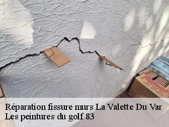 Réparation fissure murs 83160