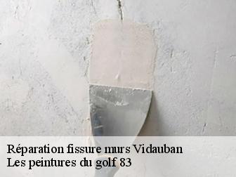 Réparation fissure murs  vidauban-83550 Les peintures du golf 83