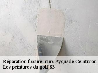 Réparation fissure murs ayguade-ceinturon-83400 Les peintures du golf 83