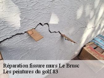 Réparation fissure murs  83140