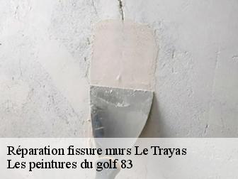 Réparation fissure murs  le-trayas-83700 Les peintures du golf 83
