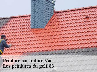 Peinture sur toiture 83 Var  Les peintures du golf 83