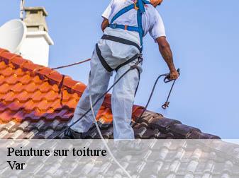 Peinture sur toiture Var 