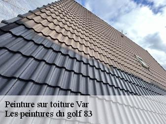 Peinture sur toiture Var 
