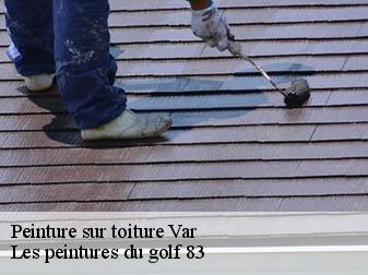 Peinture sur toiture