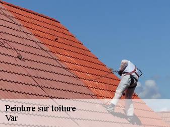 Peinture sur toiture Var 