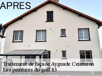 Traitement de façade