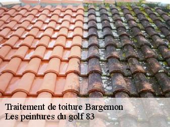Traitement de toiture bargemon-83830 Les peintures du golf 83