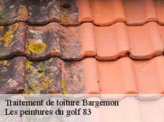 Traitement de toiture