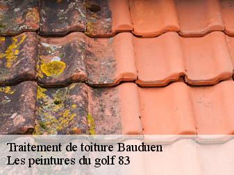 Traitement de toiture