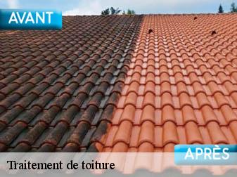 Traitement de toiture