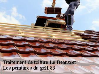Traitement de toiture 83330