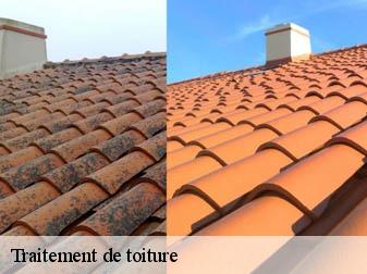 Traitement de toiture 83330