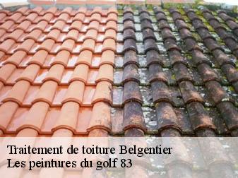 Traitement de toiture  belgentier-83210 Les peintures du golf 83