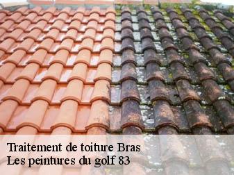 Traitement de toiture bras-83149 Les peintures du golf 83