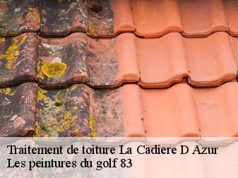 Traitement de toiture