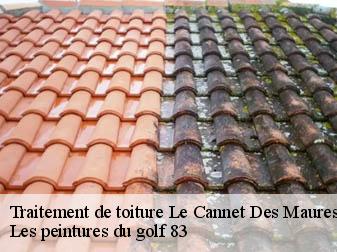 Traitement de toiture le-cannet-des-maures-83340 Les peintures du golf 83
