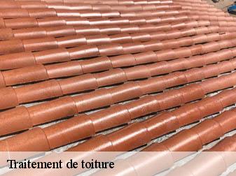Traitement de toiture
