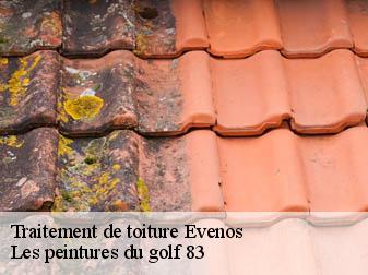 Traitement de toiture