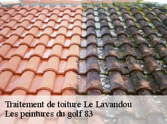 Traitement de toiture  le-lavandou-83980 Les peintures du golf 83