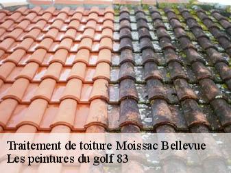 Traitement de toiture moissac-bellevue-83630 Les peintures du golf 83