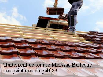 Traitement de toiture 83630